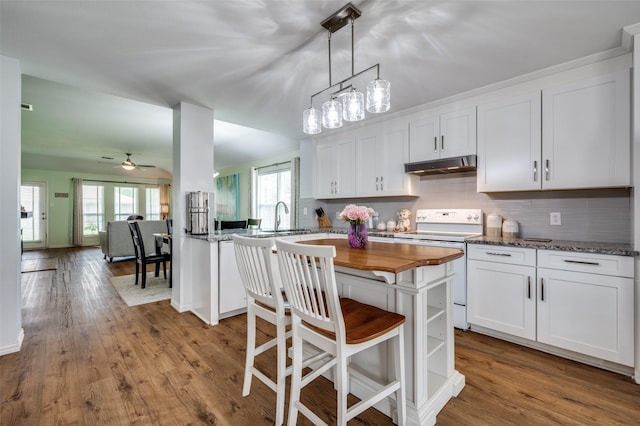 9912 Fillmore Dr, Mckinney, TX 75072 - kitchen with butcher block countertops, under cabinet range hood, ceiling fan, electric stove, and white cabinetry