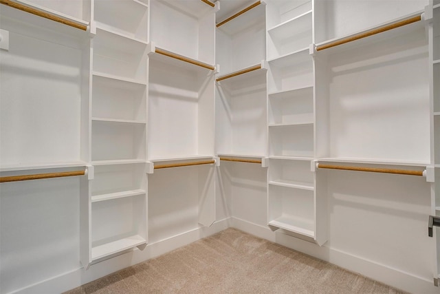 2602 23rd St, Fort Worth, TX 76106 - walk in closet with carpet floors