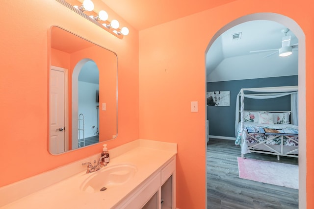 5424 Yellow Birch Dr, Fort Worth, TX 76244 - bathroom with wood finished floors, ceiling fan, and vanity