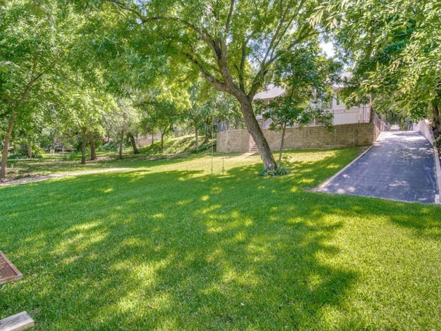7710 Ravenswood Rd, Granbury, TX 76049 - view of grassy yard
