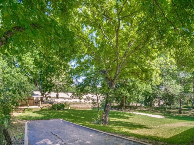 7710 Ravenswood Rd, Granbury, TX 76049 - view of green lawn