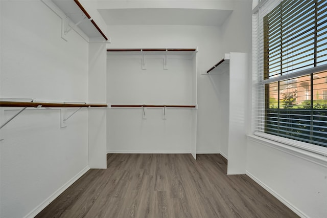 1102 Mccormick St, Garland, TX 75040 - spacious closet with wood finished floors
