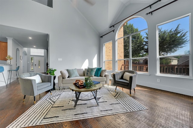 1102 Mccormick St, Garland, TX 75040 - living room featuring wood finished floors, high vaulted ceiling, arched walkways, and baseboards