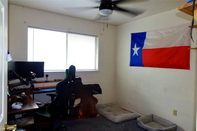 212 E Kearney St, Mesquite, TX 75149 - office space with a ceiling fan and carpet