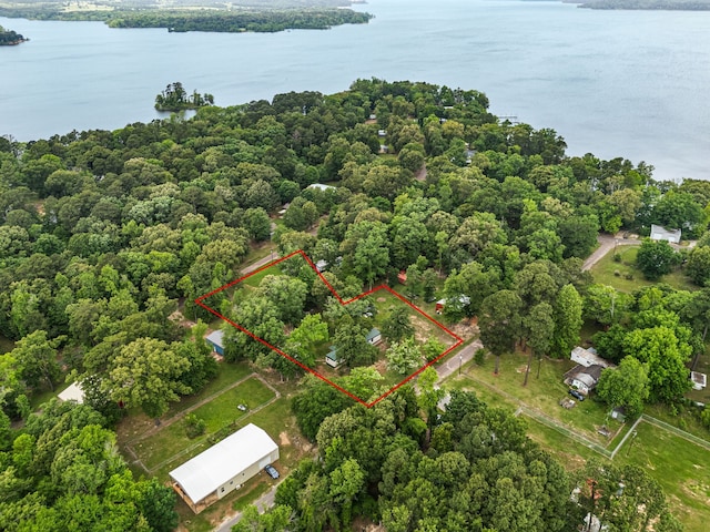 150 David St, Jefferson, TX 75657 - aerial view of property's location featuring a nearby body of water, property parcel outlined, and a heavily wooded area