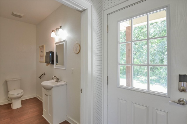 6495 Smoky Hill Ct, Granbury, TX 76049 - bathroom featuring toilet, wood finished floors, healthy amount of natural light, and vanity