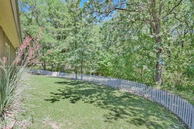 6495 Smoky Hill Ct, Granbury, TX 76049 - view of yard