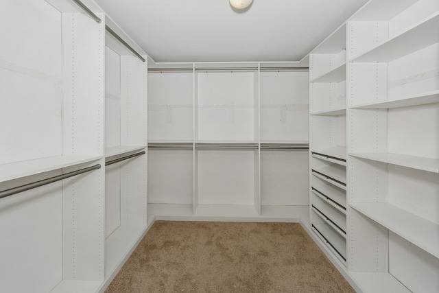 6021 Lucas Ct, Fort Worth, TX 76119 - spacious closet with light colored carpet