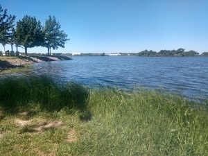 1505 Williamsburg Ct, Ennis, TX 75119 - water view