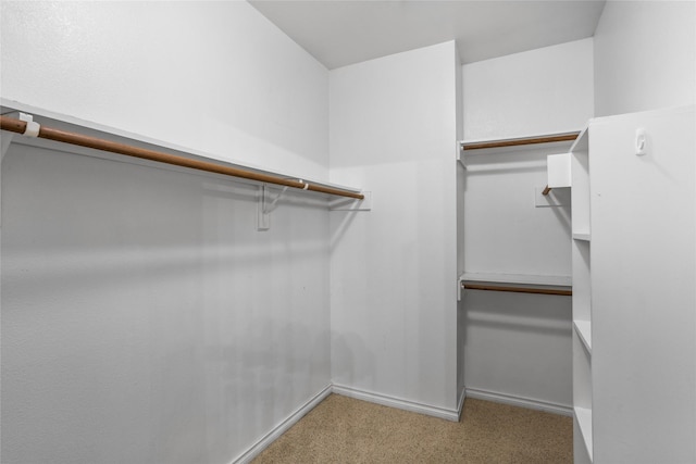 3737 Monica Ln, Fort Worth, TX 76244 - walk in closet with carpet floors