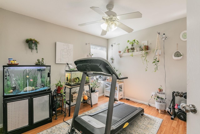717 Kim Ln, Royse City, TX 75189 - exercise area with a ceiling fan and wood finished floors