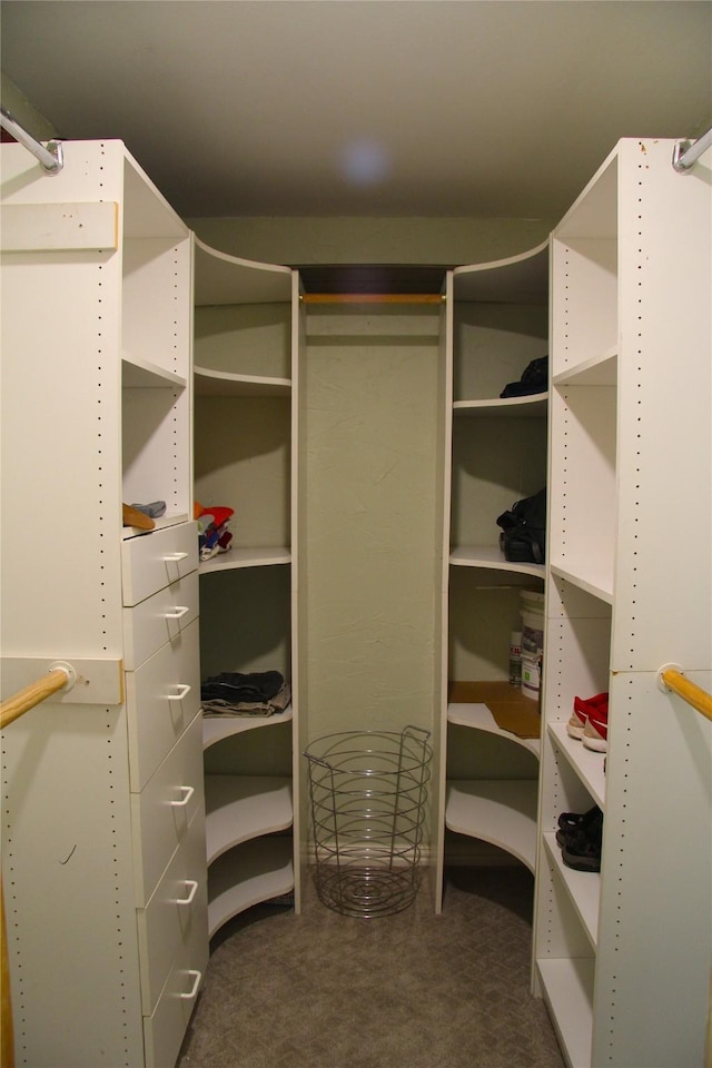 4320 Holland Ave Unit 202, Dallas, TX 75219 - spacious closet with carpet