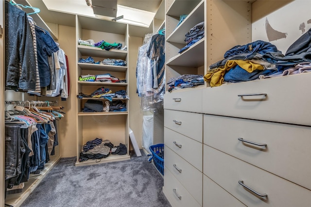 2011 Cedar Springs Rd Unit 106, Dallas, TX 75201 - walk in closet featuring carpet