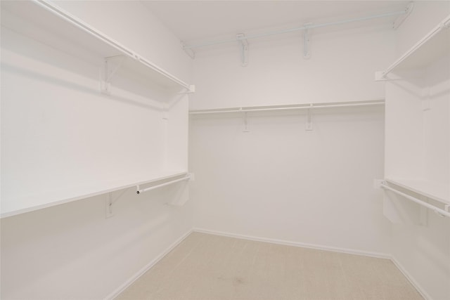 4001 Stone Oak Blvd, Denton, TX 76210 - walk in closet with carpet floors