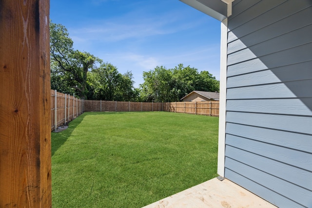 4002 Robert L Parish Sr Ave, Dallas, TX 75210 - view of yard