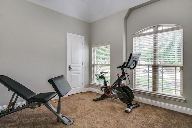 921 Yarwood Way, Burleson, TX 76028 - workout room featuring carpet flooring, plenty of natural light, and baseboards
