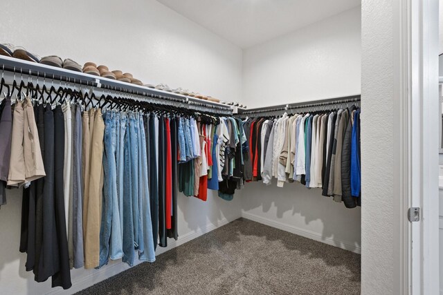 140 Orchard Pines Pl, Boyd, TX 76023 - walk in closet featuring carpet flooring