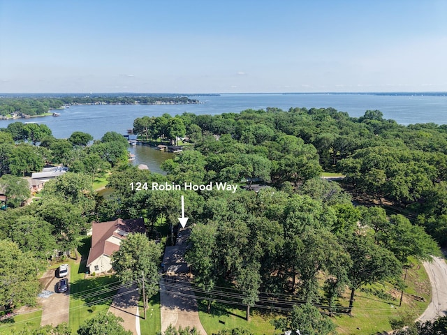 124 Robin Hood Way, Gun Barrel City, TX 75156 - aerial view of a large body of water