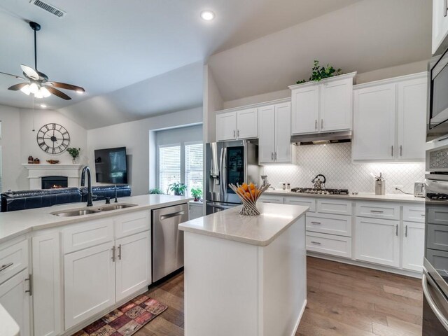 2201 Mountain Creek Ct, Wylie, TX 75098 - kitchen with stainless steel appliances, lofted ceiling, a sink, a ceiling fan, and under cabinet range hood