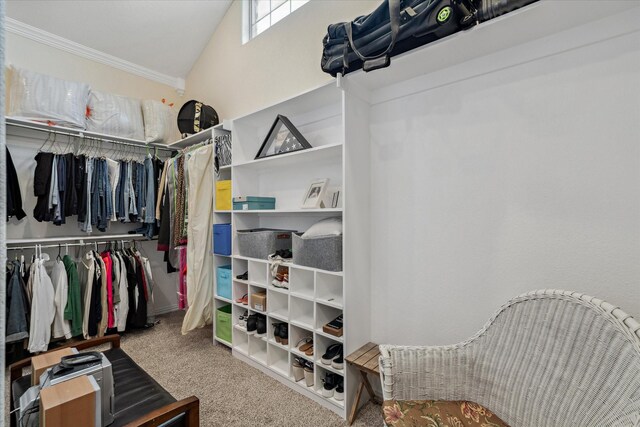 12319 N Emerald Ranch Ln, Forney, TX 75126 - spacious closet featuring carpet flooring and lofted ceiling