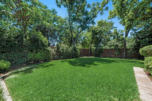 9918 Ila Dr, Dallas, TX 75220 - view of yard