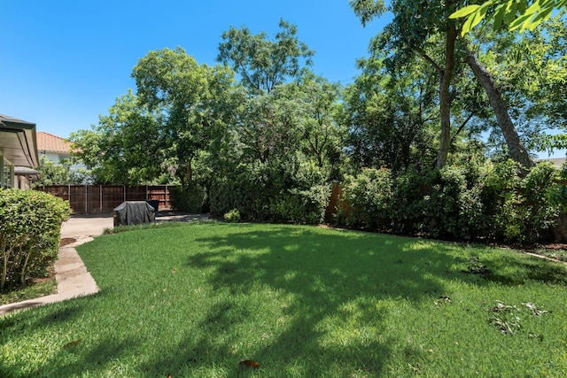 9918 Ila Dr, Dallas, TX 75220 - view of yard
