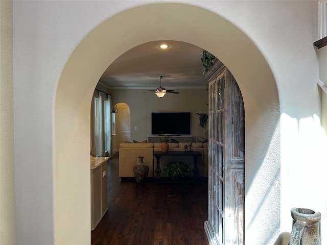 809 Cameron Ct, Coppell, TX 75019 - hallway featuring arched walkways, dark wood finished floors, crown molding, and recessed lighting