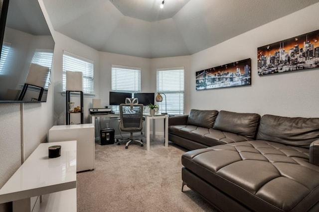 249 Noble Nest Dr, Midlothian, TX 76065 - carpeted home office with vaulted ceiling