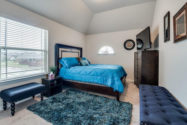 249 Noble Nest Dr, Midlothian, TX 76065 - carpeted bedroom with vaulted ceiling and baseboards