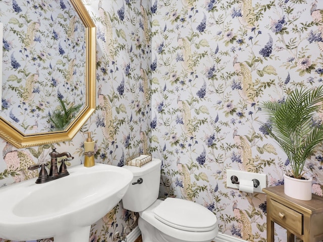 2525 Still Springs Dr, Little Elm, TX 75068 - bathroom with wallpapered walls, a sink, toilet, and baseboards