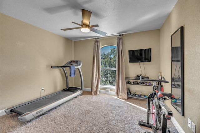 125 Wood Bend Ct, Weatherford, TX 76087 - exercise room with a ceiling fan, carpet flooring, a textured ceiling, baseboards, and a textured wall