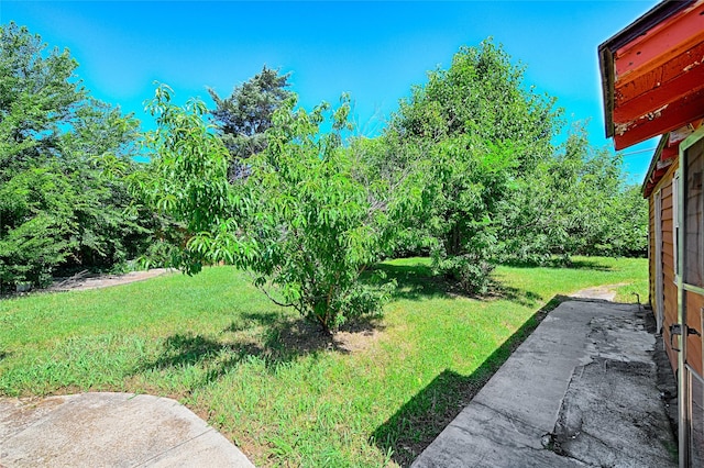 1705 Savoy St, Dallas, TX 75224 - view of green lawn