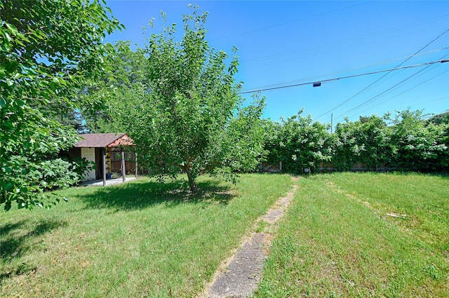 1705 Savoy St, Dallas, TX 75224 - view of grassy yard