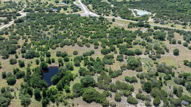 9681 Paluxy Hwy, Bluff Dale, TX 76433