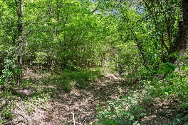 607 Audrey Ave, Waco, TX 76705 - view of tree filled area