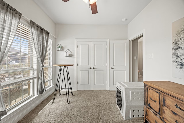 11013 Cobalt Dr, Aubrey, TX 76227 - carpeted home office with ceiling fan