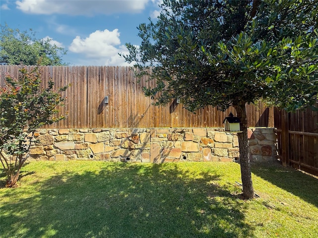 11013 Cobalt Dr, Aubrey, TX 76227 - view of yard