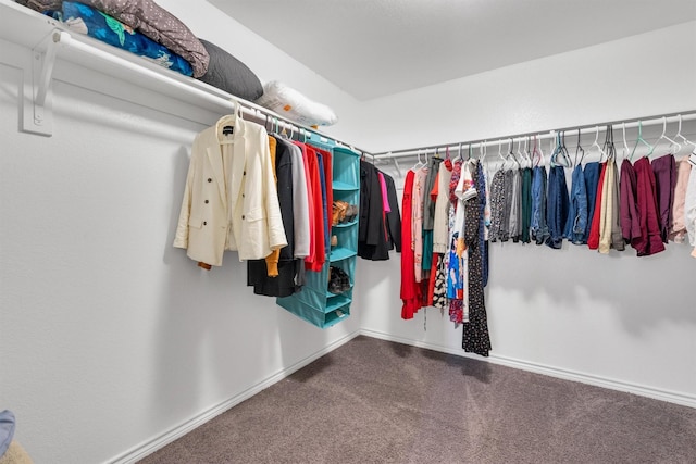 4506 Maplewood Ave, Balch Springs, TX 75180 - walk in closet featuring carpet
