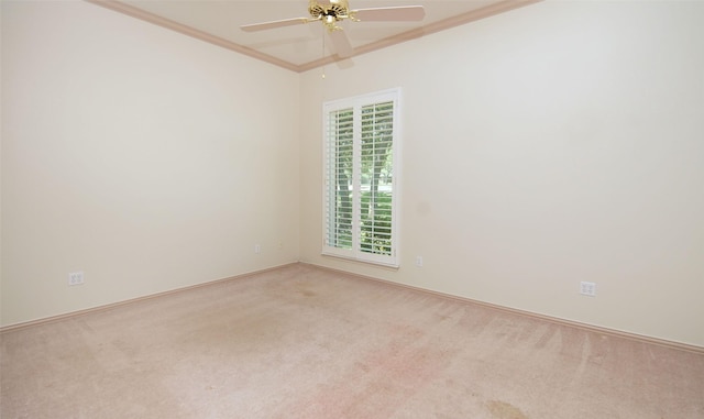 332 Diamond Oaks Dr, Hudson Oaks, TX 76087 - empty room featuring crown molding, carpet floors, ceiling fan, and healthy amount of natural light