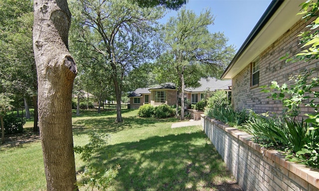 332 Diamond Oaks Dr, Hudson Oaks, TX 76087 - view of yard