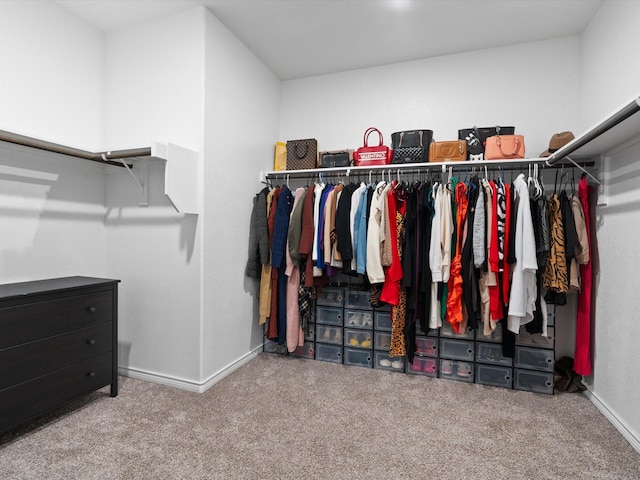 4148 Agatha Ln, Celina, TX 76227 - spacious closet with carpet