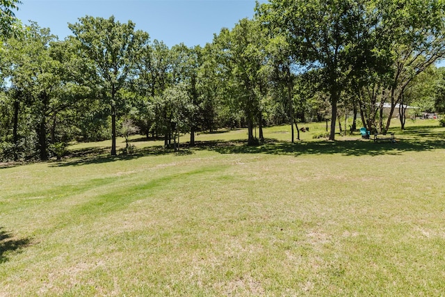 239 County Road 3586, Paradise, TX 76073 - view of grassy yard featuring view of scattered trees