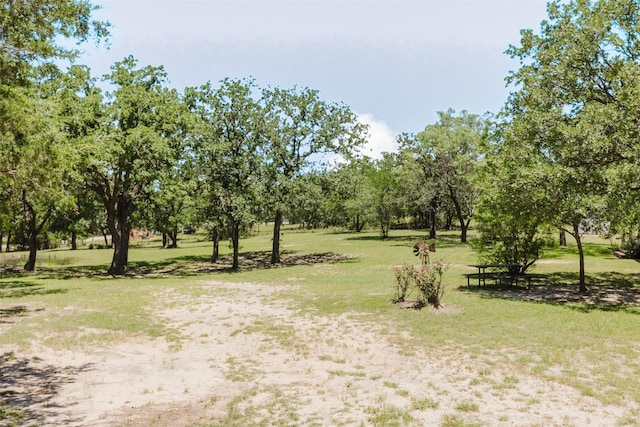 239 County Road 3586, Paradise, TX 76073 - view of grassy yard