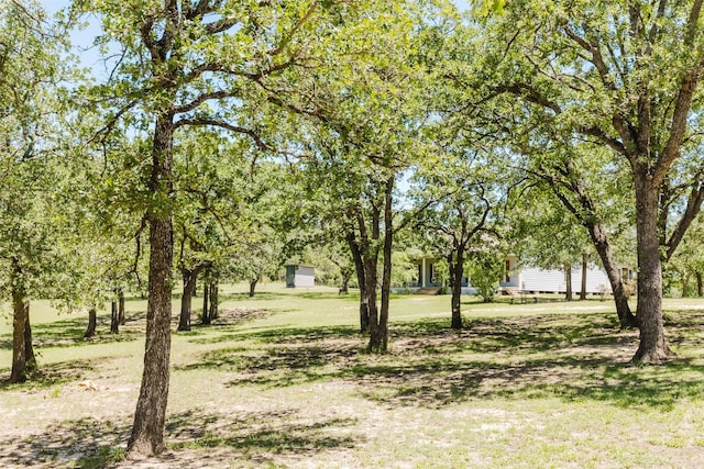 239 County Road 3586, Paradise, TX 76073 - view of grassy yard