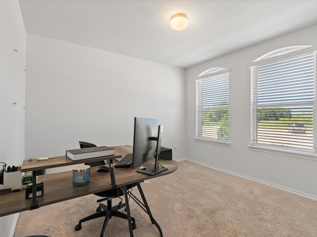 4204 Cordata Dr, Melissa, TX 75454 - carpeted home office with baseboards