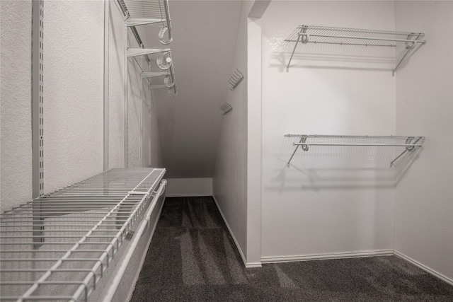 103 Saddle Club Rd, Weatherford, TX 76088 - walk in closet with dark carpet