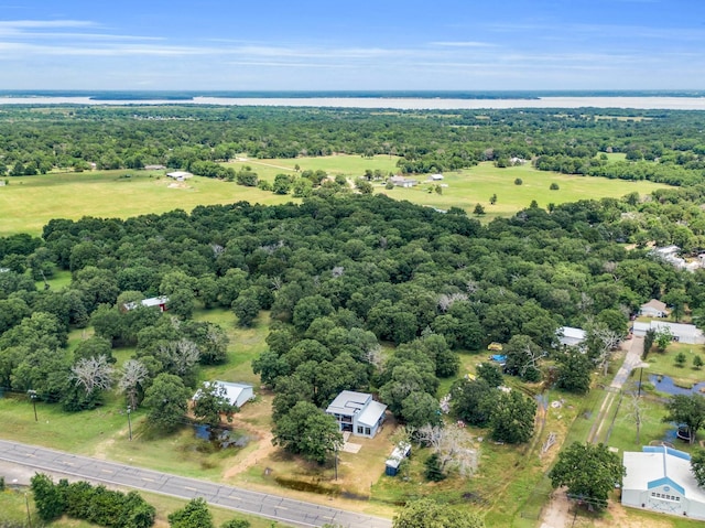 815 N Seven Points Dr, Kemp, TX 75143 - bird's eye view of a heavily wooded area and a nearby body of water
