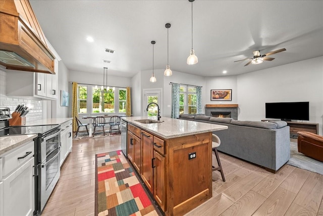 184 Lakeview Cir, Pilot Point, TX 76258 - kitchen featuring stainless steel appliances, premium range hood, a sink, a warm lit fireplace, and light wood-style flooring