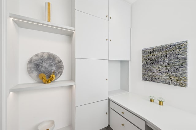 315 Oxford Pl, Coppell, TX 75019 - view of spacious closet