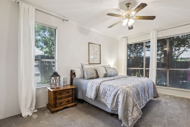 102 Pinion Dr, Euless, TX 76039 - carpeted bedroom with multiple windows, a ceiling fan, and ornamental molding
